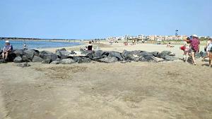 Cap d'Agde - Plage Richelieu - 29 Juin 2023 - 07